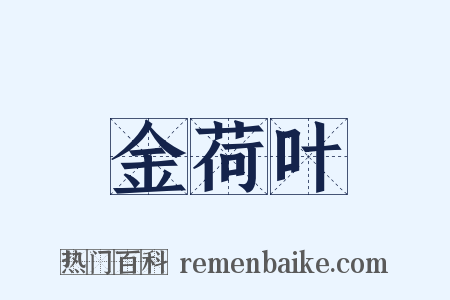 金荷叶是什么意思的图片